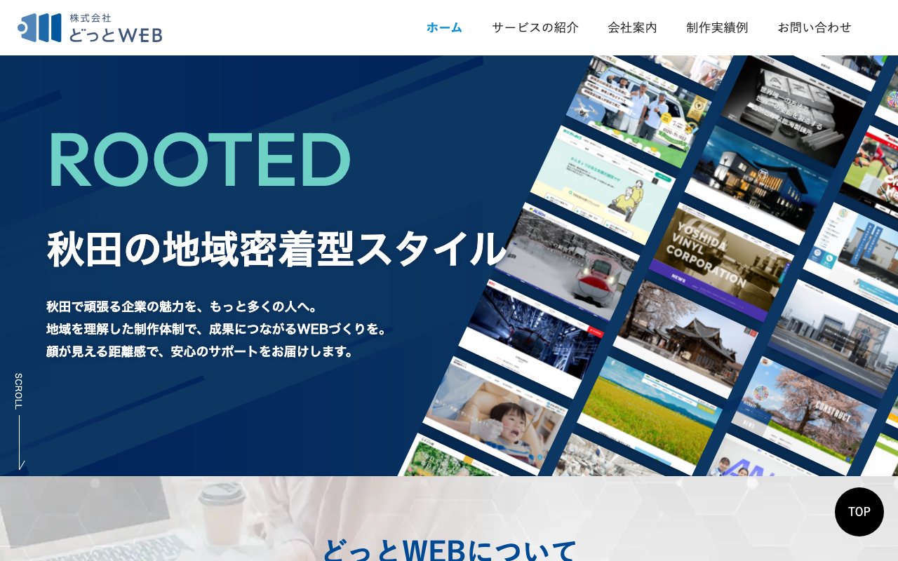 dotweb